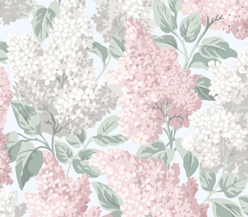 Blush & Dove on Silver Birch