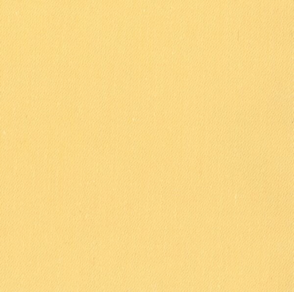 Maize