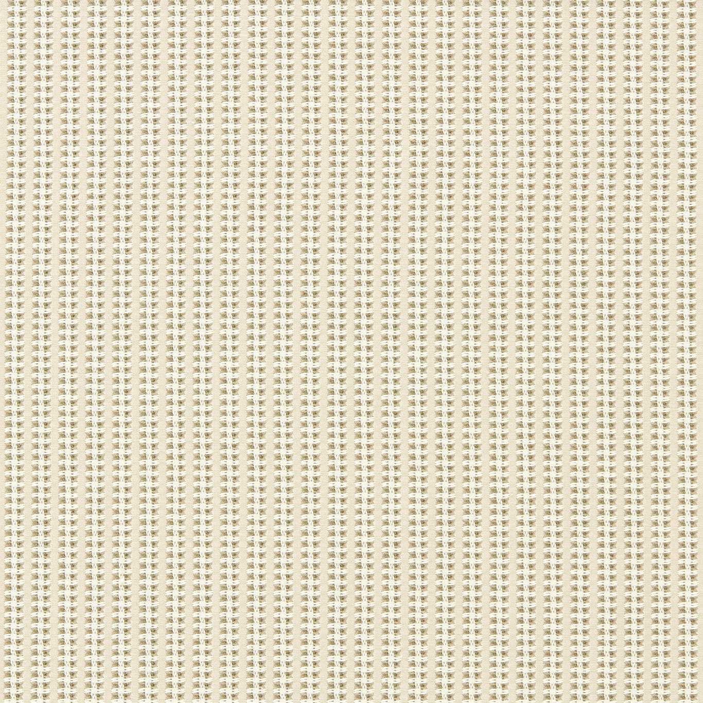 Diffused Light/Pearl