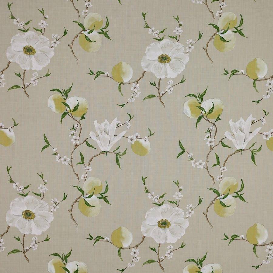 Manuel Canovas Guermantes  