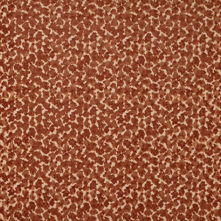 Manuel Canovas Java