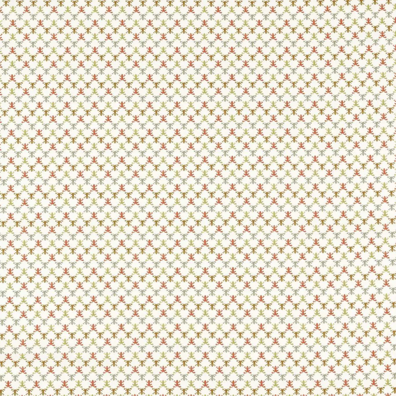 Harlequin Mini Wood Frog 