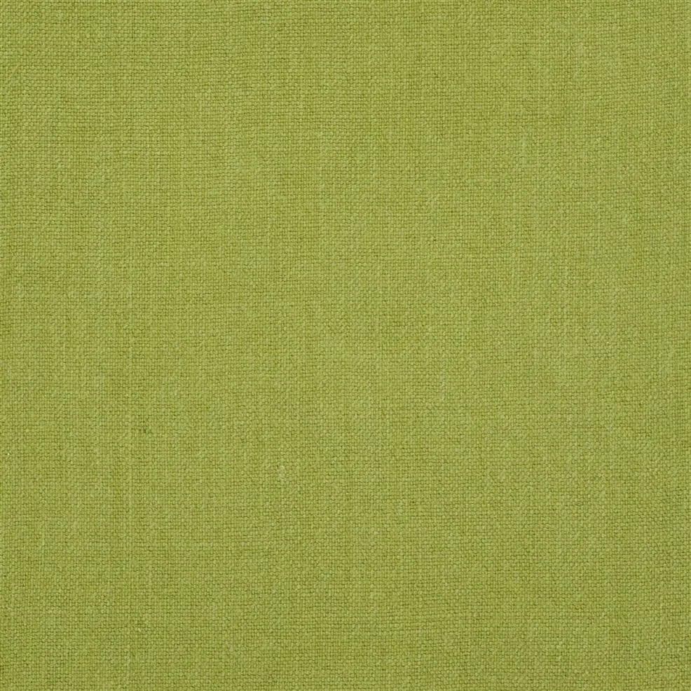 Moss