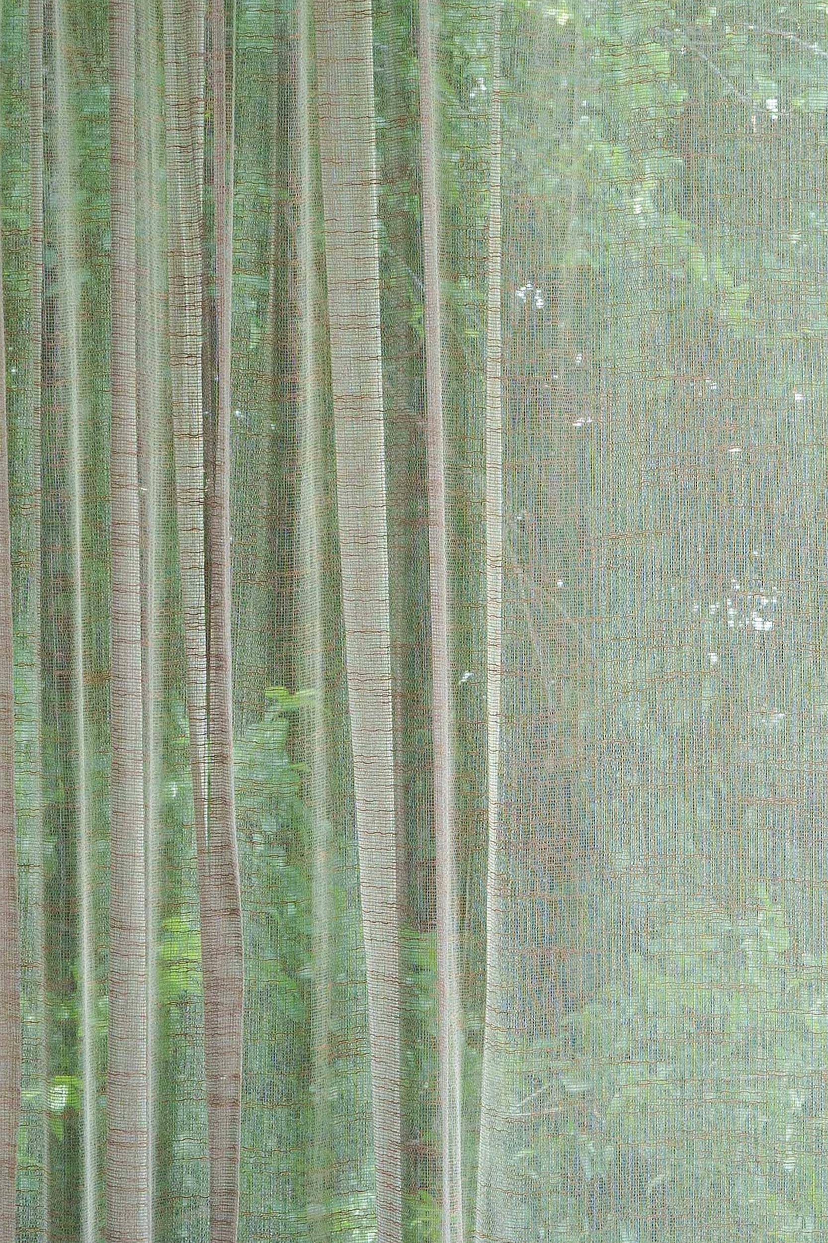 Fischbacher 1819 Trammel