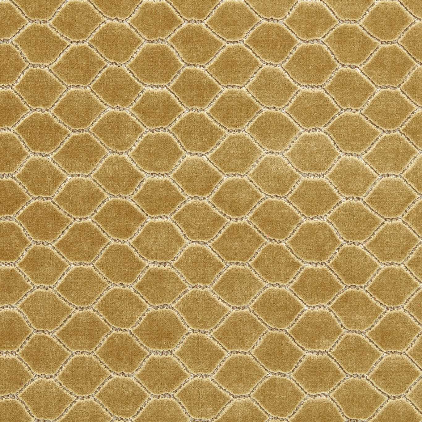 Sanderson Faraday Velvet
