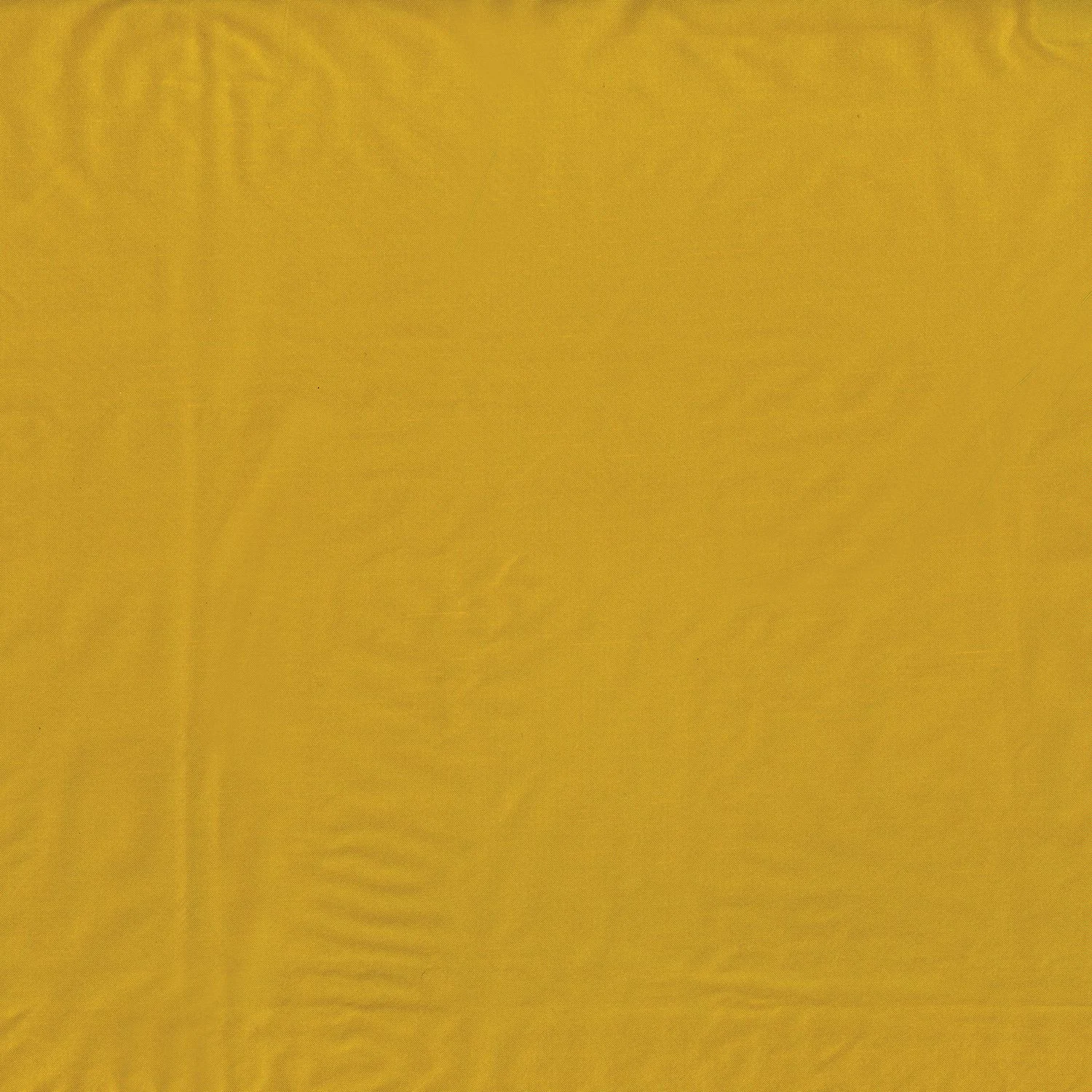 Mimosa
