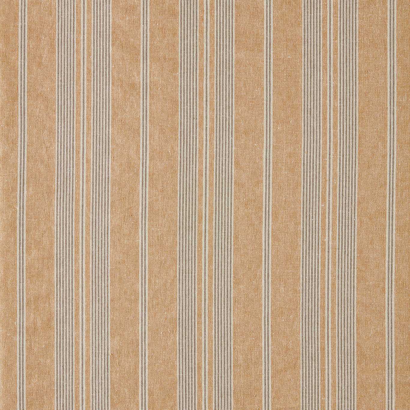 Sanderson Amberley Stripe 