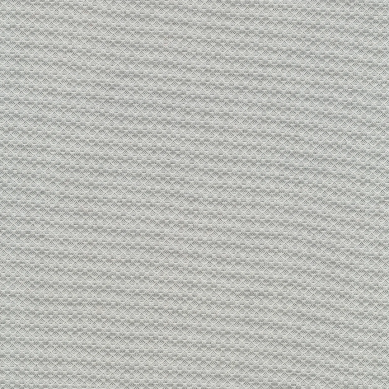 Fb. 0101