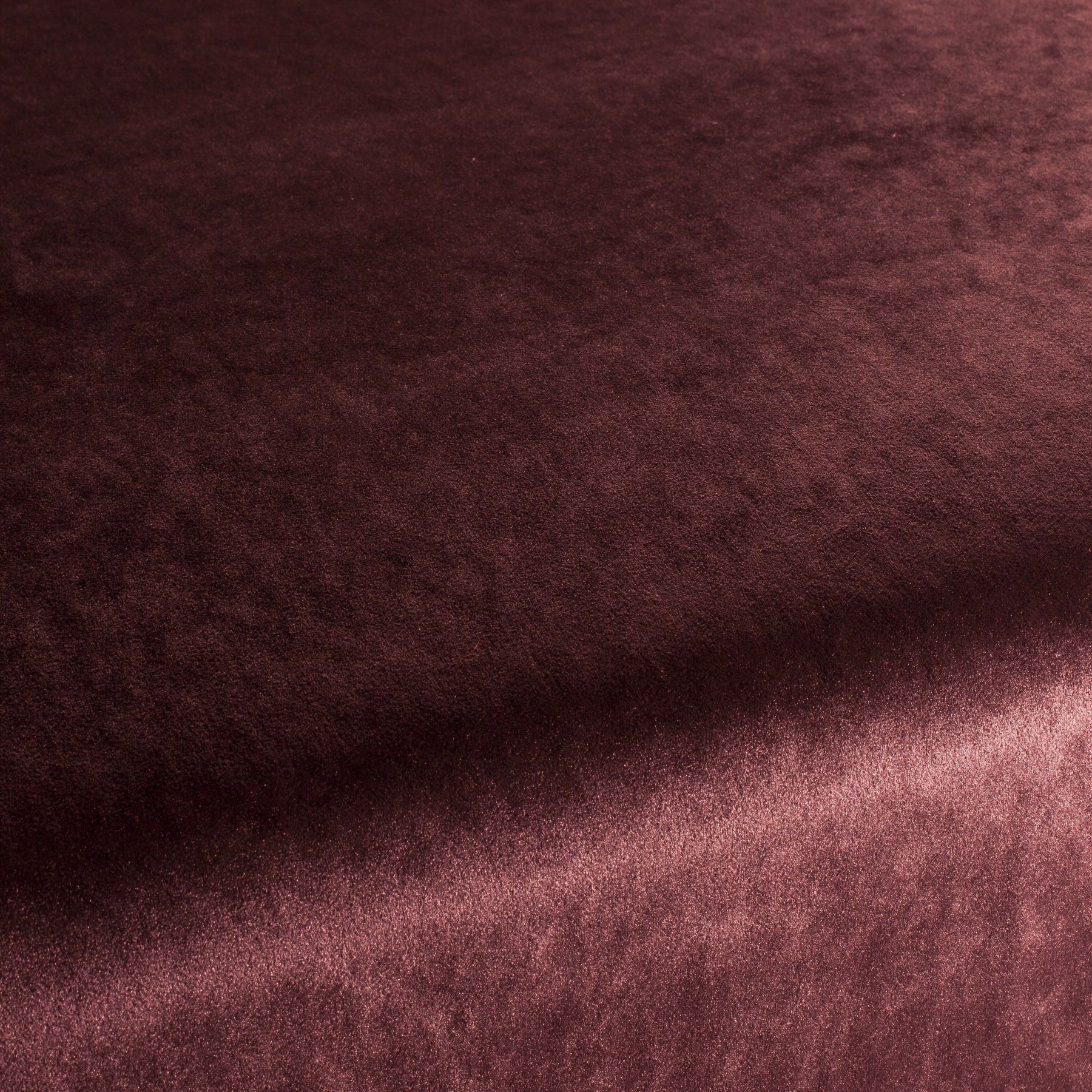 Carlucci Palazzo Velvet Reloaded