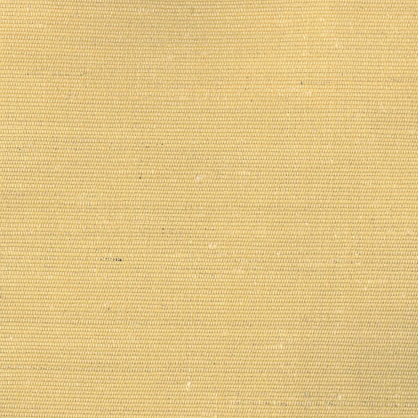 Pulcino