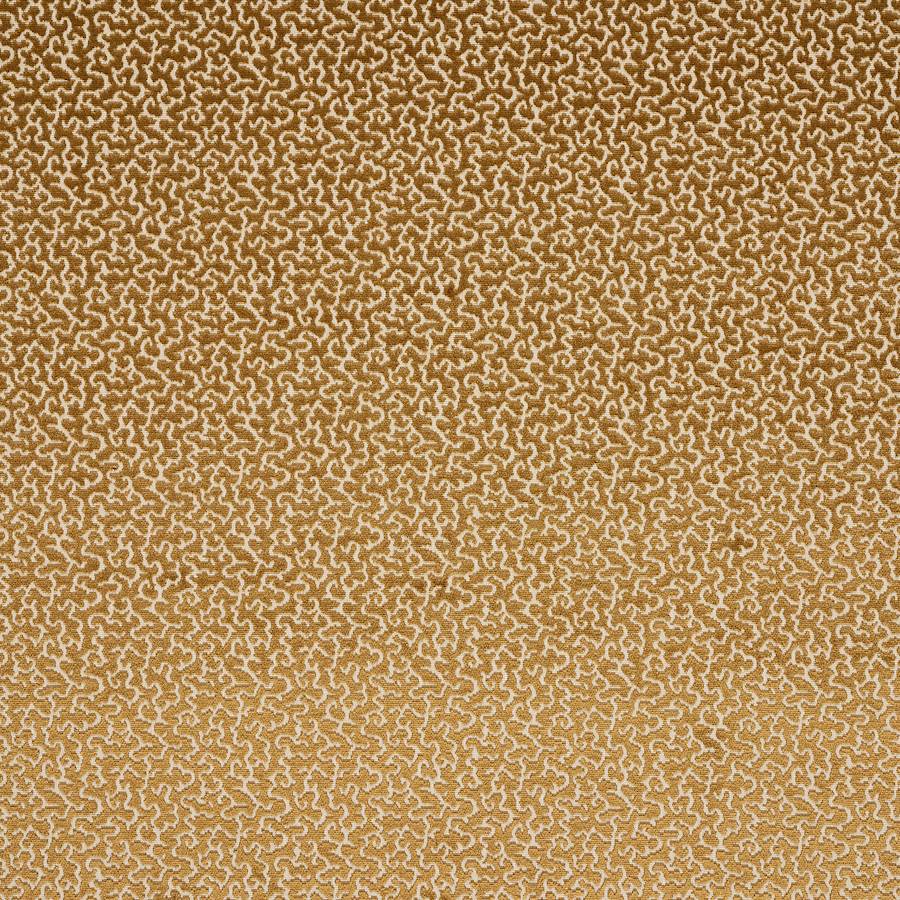 Manuel Canovas Drago