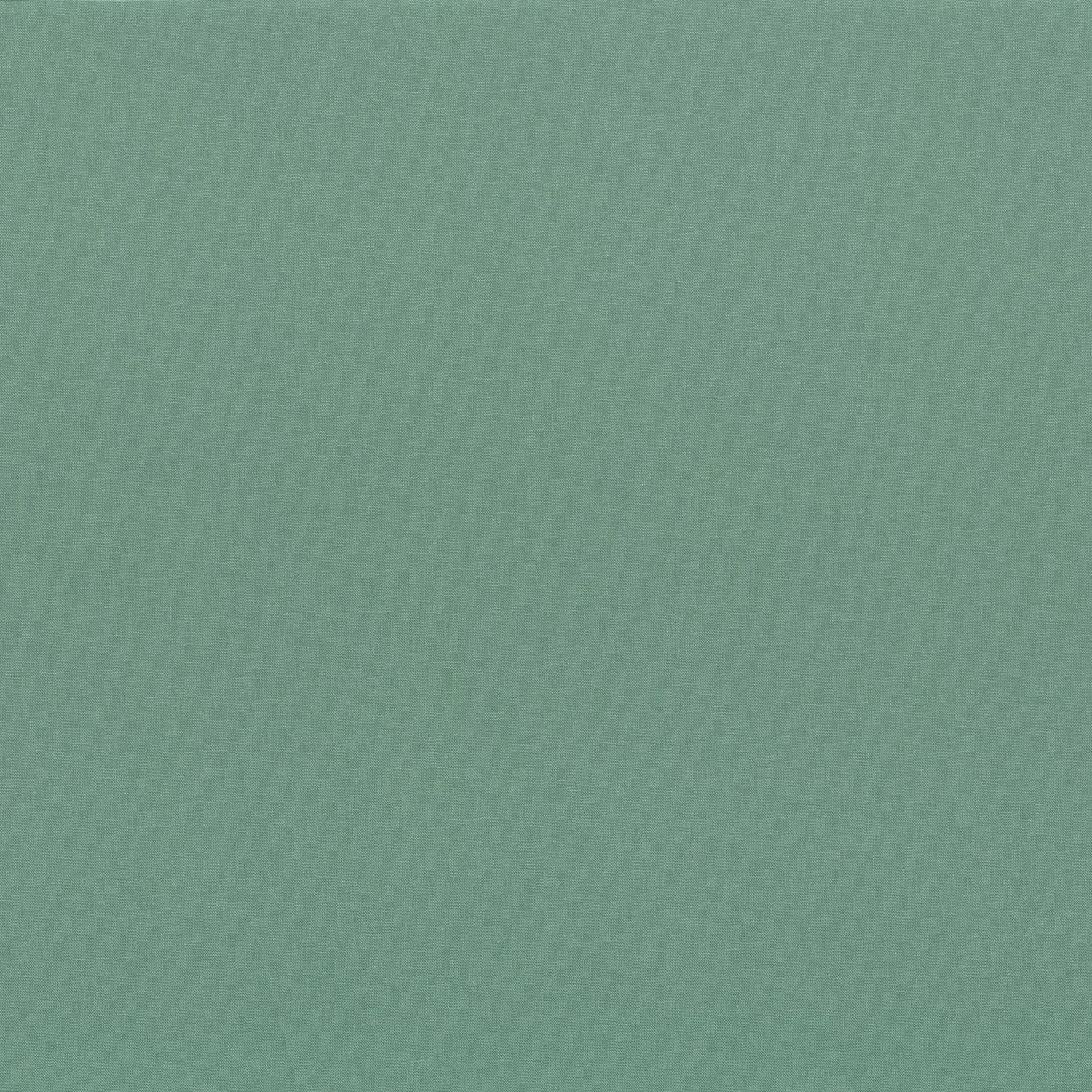 Menthe
