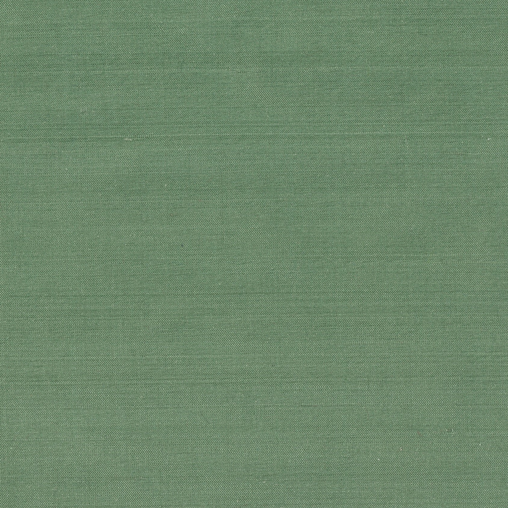 Palm