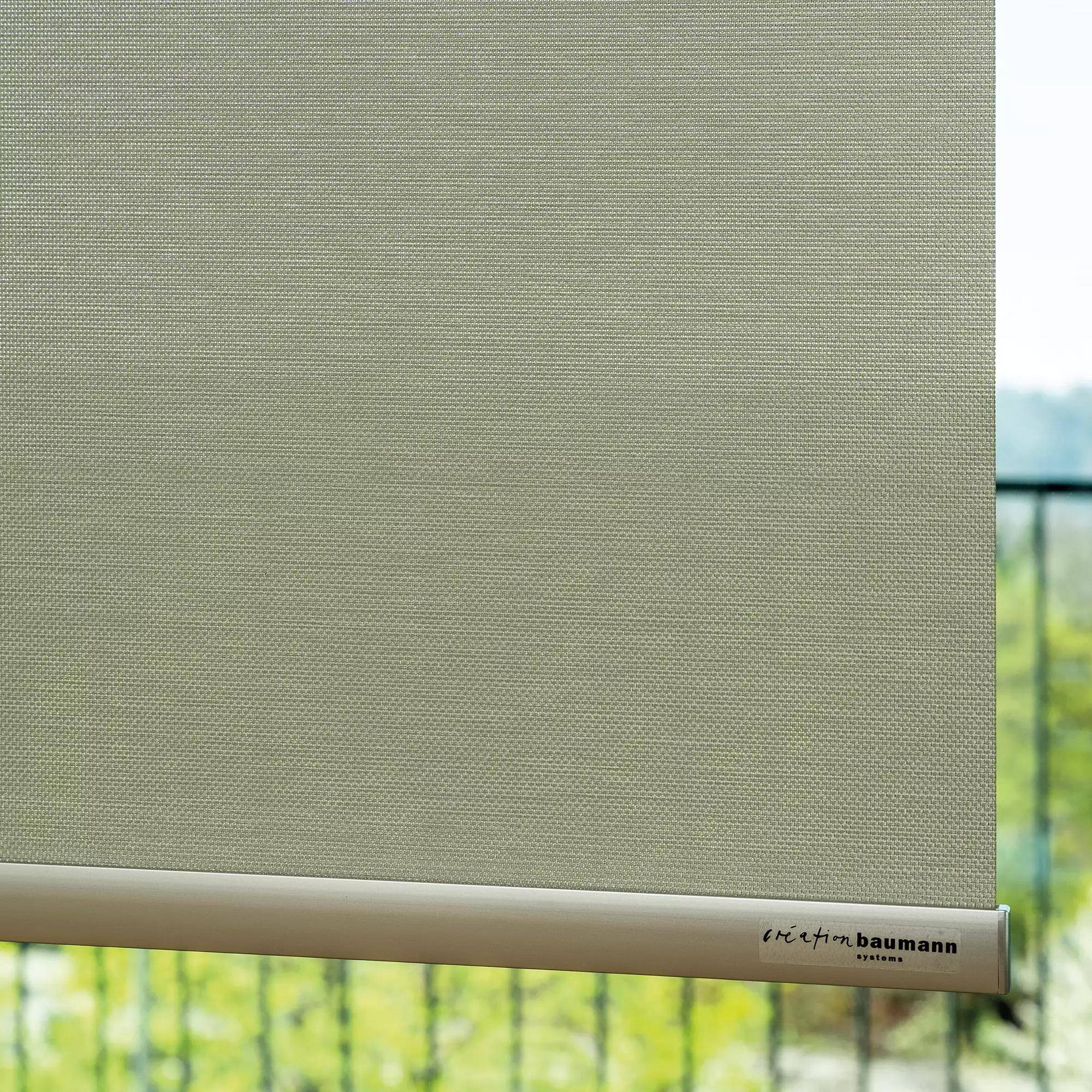 Création Baumann Screno R