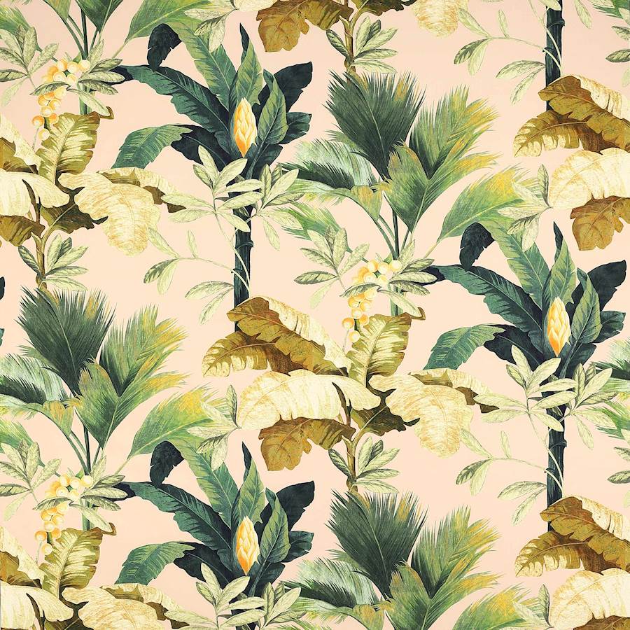 Manuel Canovas Salengro