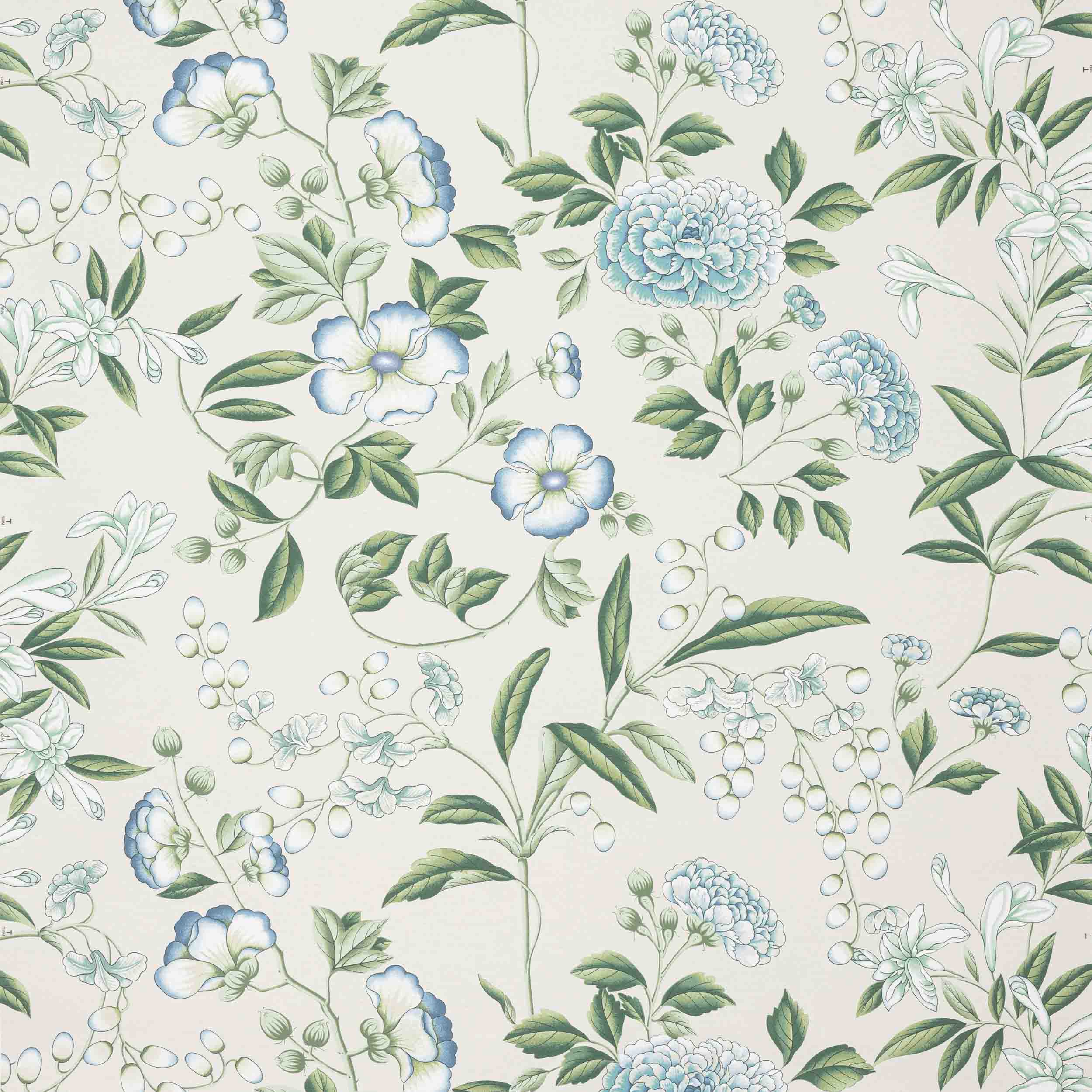 Manuel Canovas Coromandel Manuel Canovas Coromandel