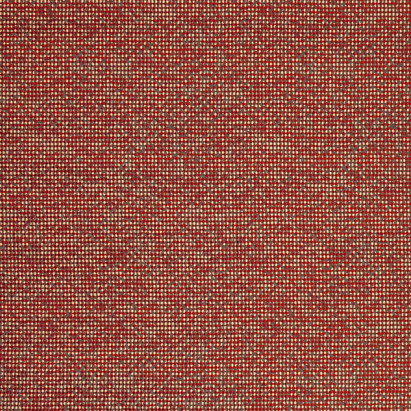 Spice