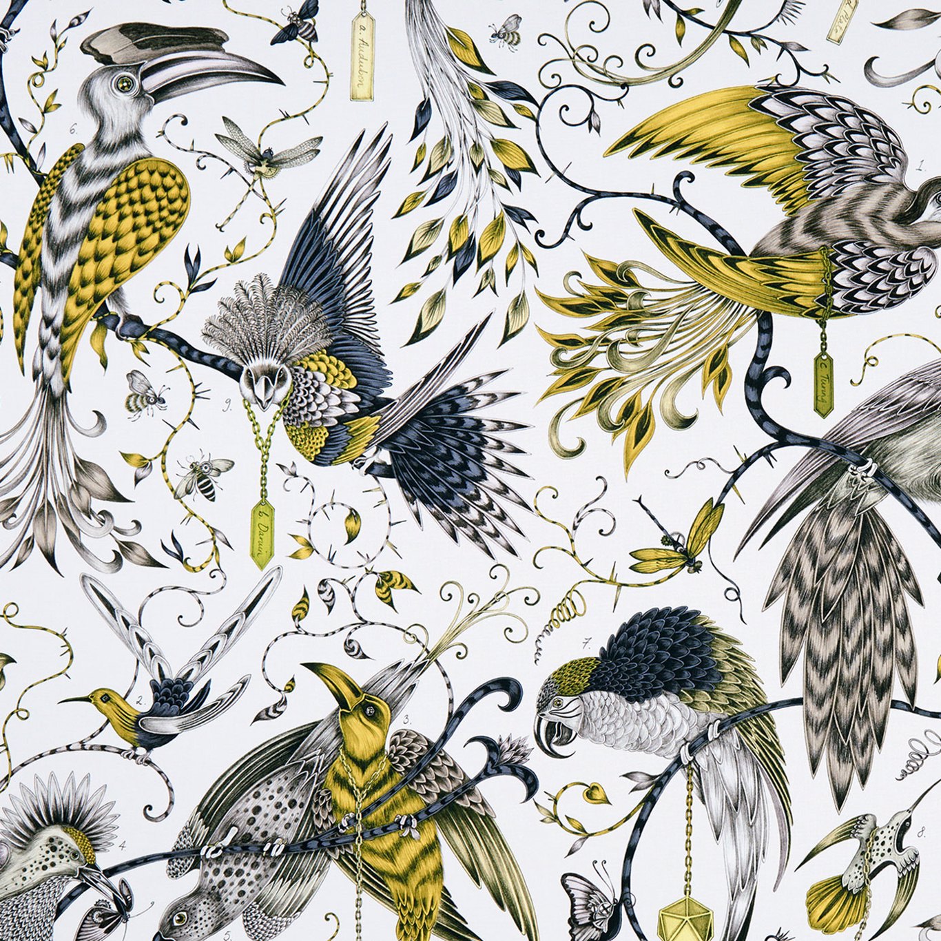Clarke & Clarke Audubon  