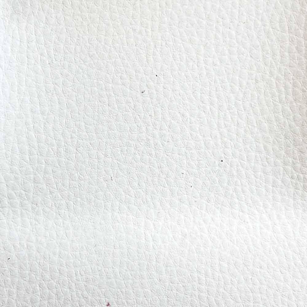 Gastón y Daniela Fuji