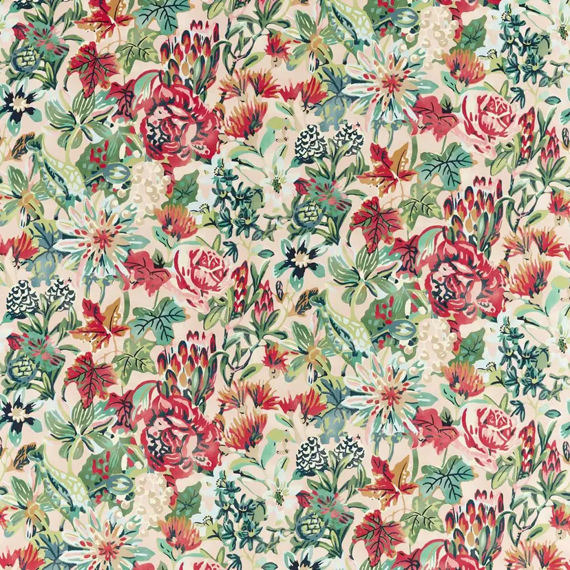 Harlequin Perennials