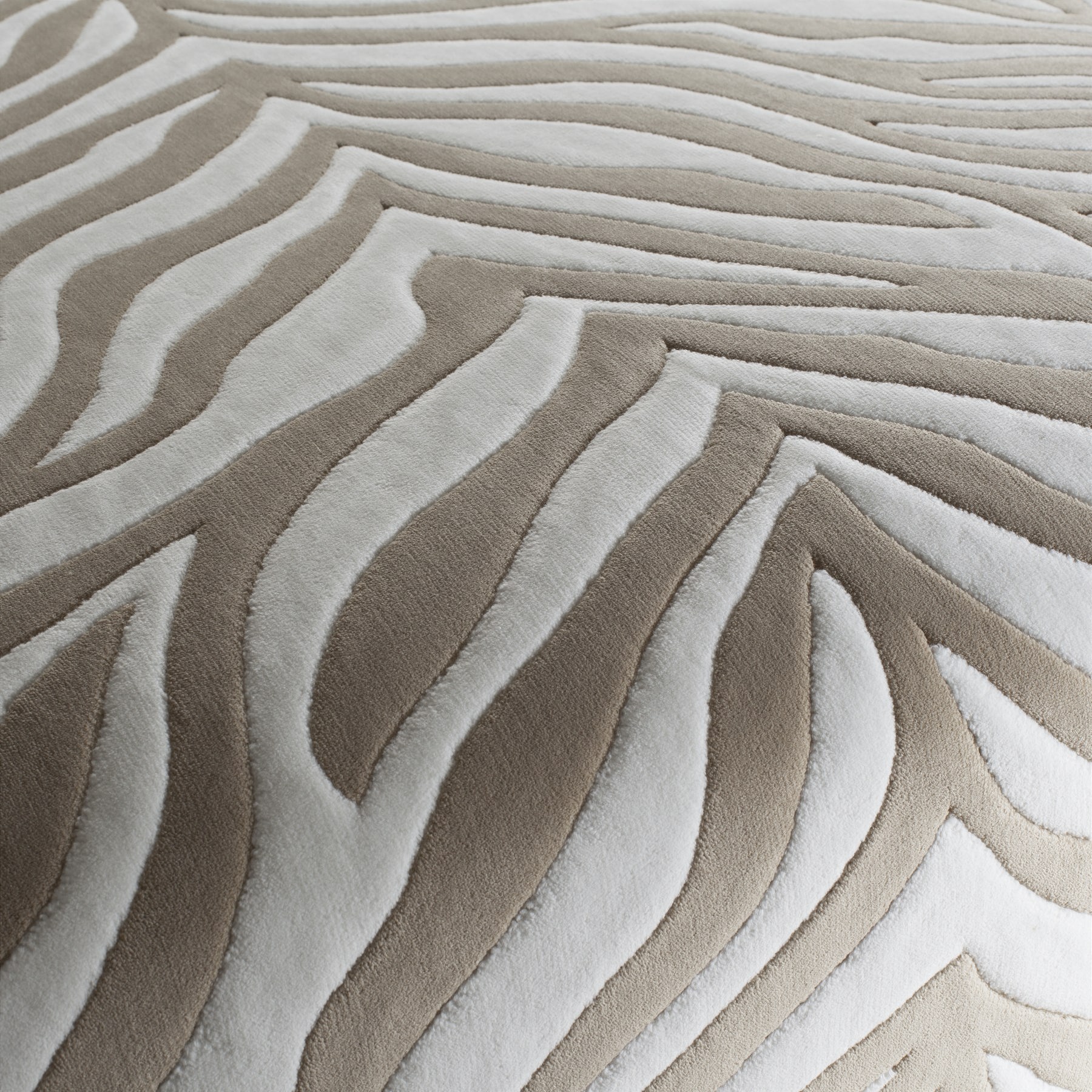 Chivasso Wild Shape