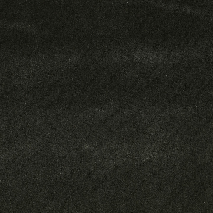 Thicket