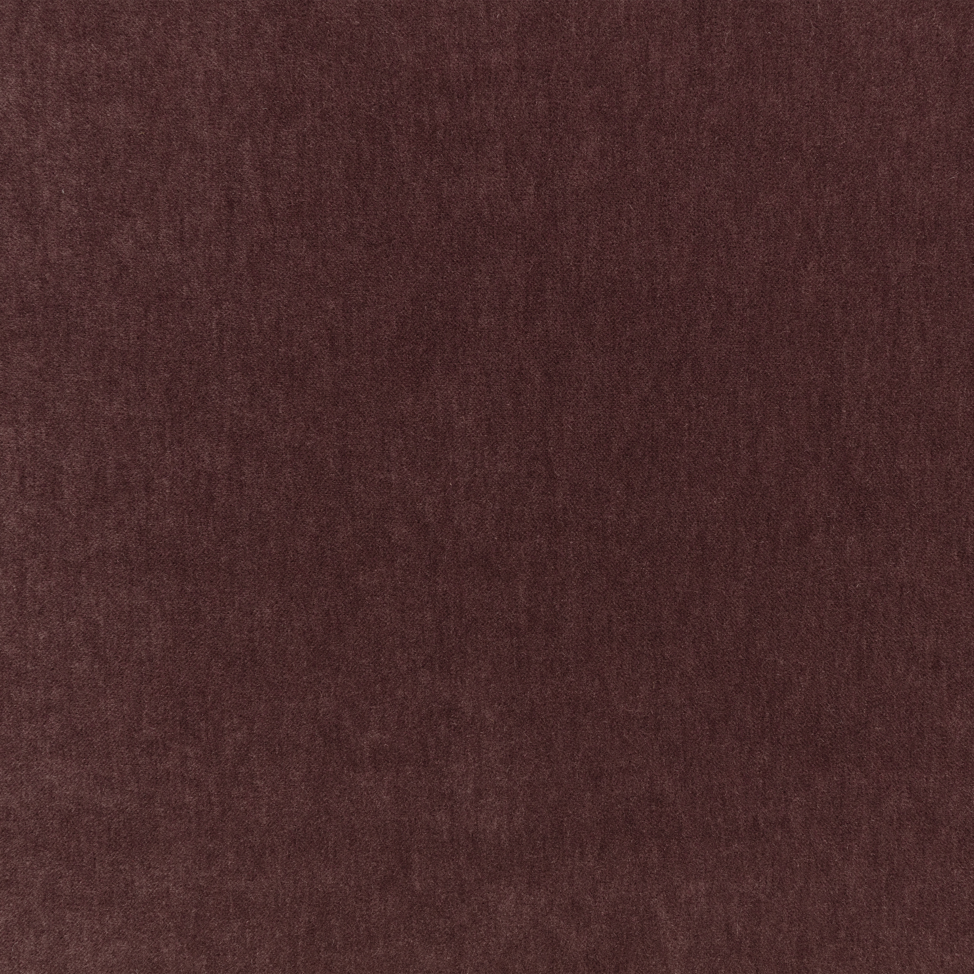 Aubergine
