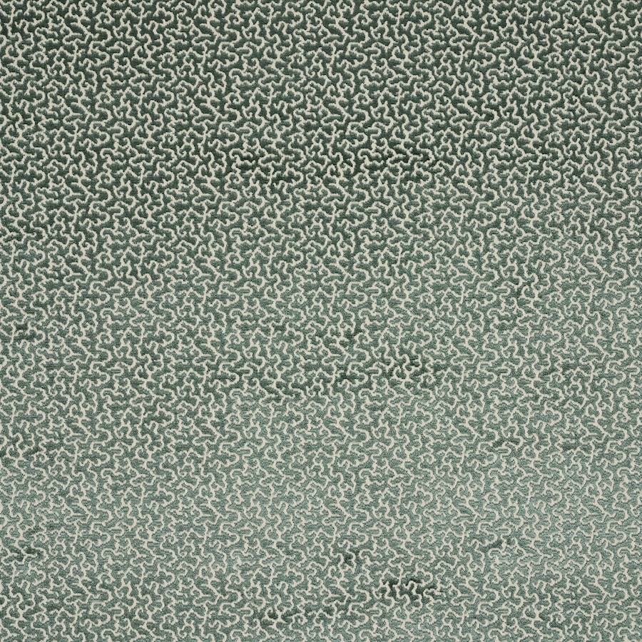 Manuel Canovas Drago