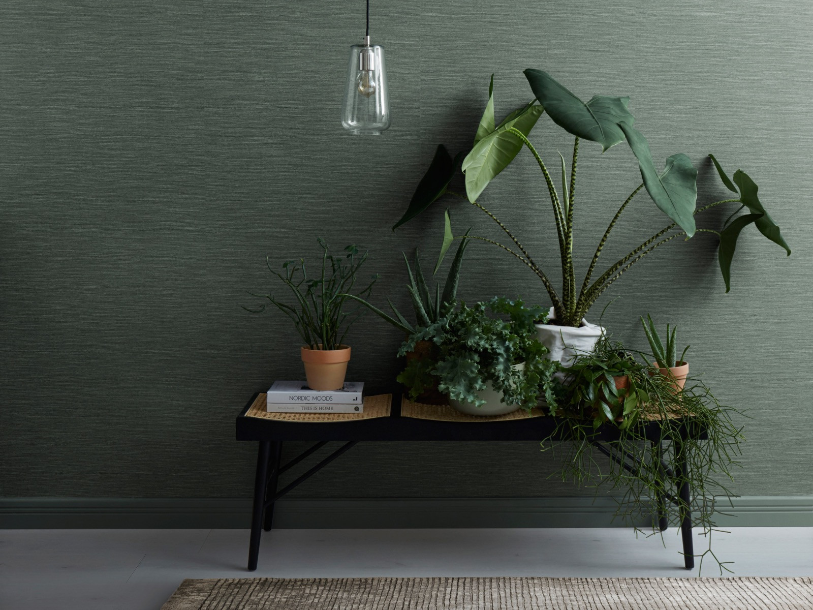 Fischbacher 1819 Kalahari Tapete