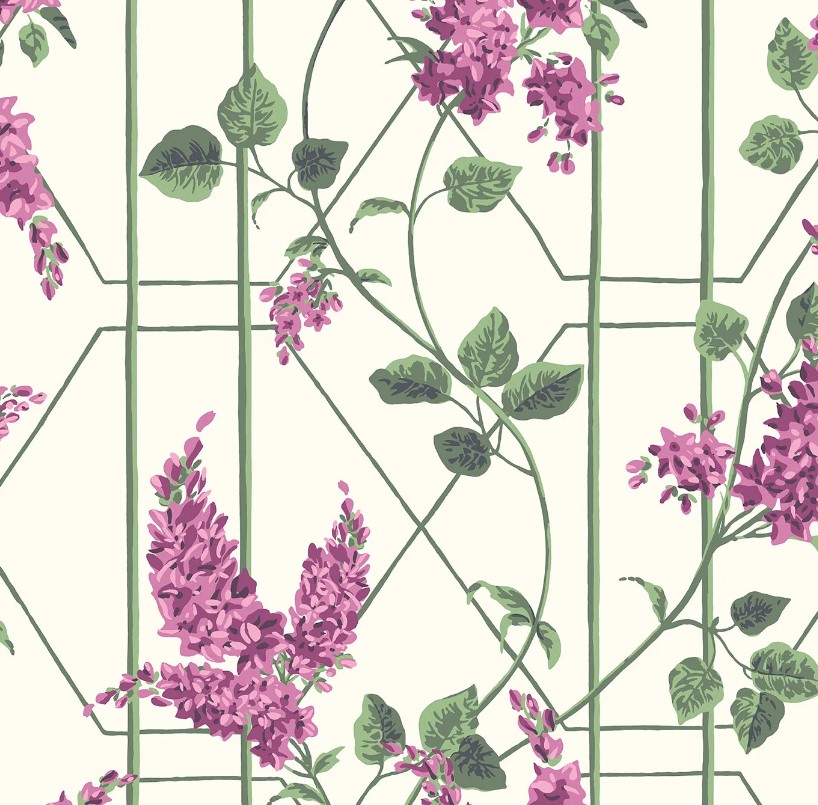 Magenta & Leaf Green on Chalk