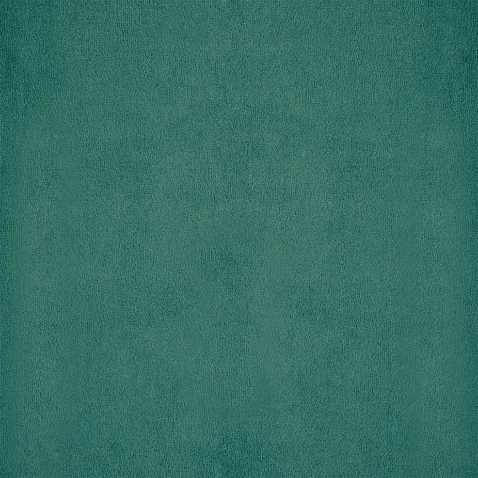 Ocean