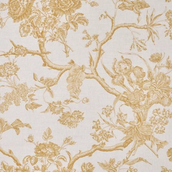 Braquenie Chantonnay