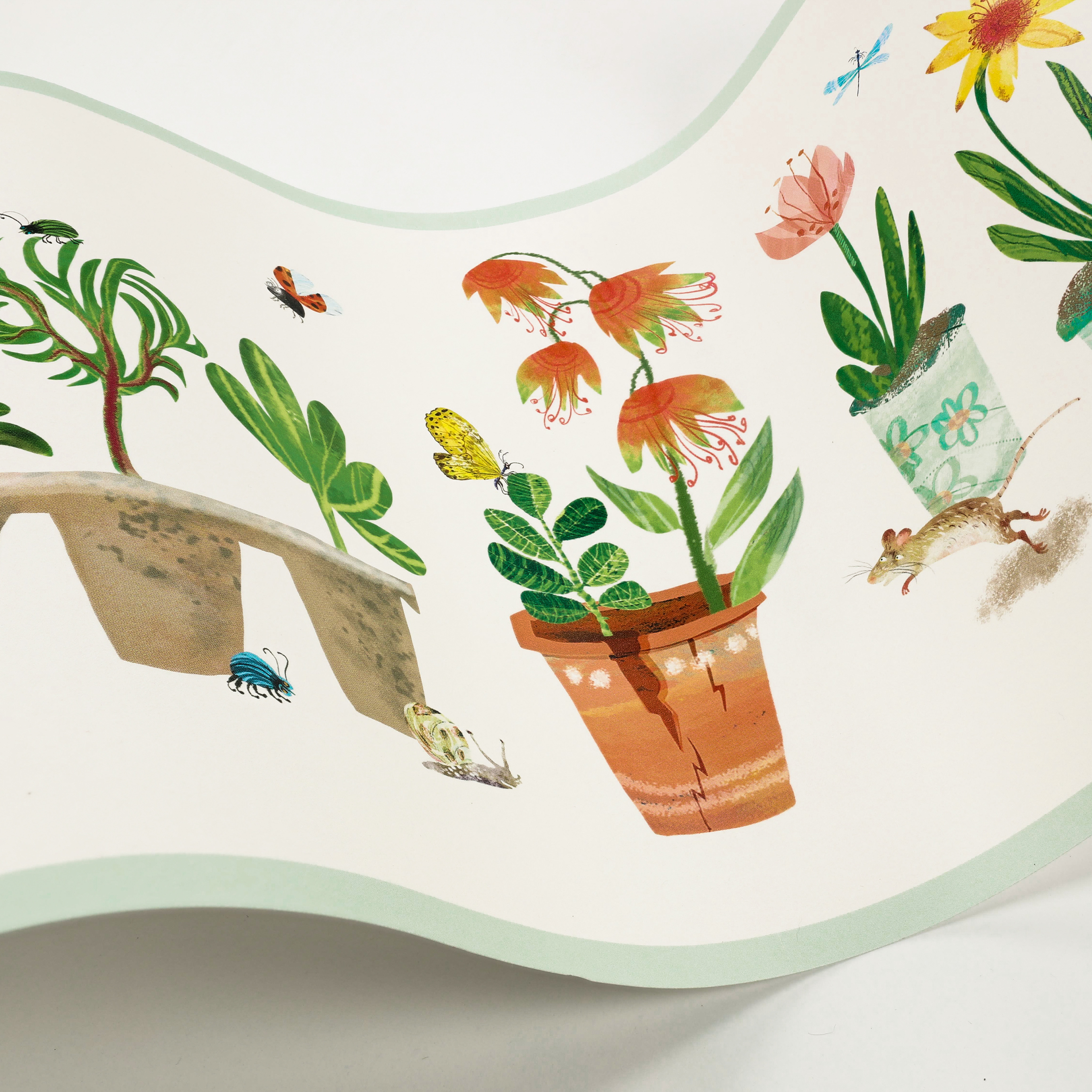 Villa Nova Garden Grow Border Villa Nova Garden Grow Border