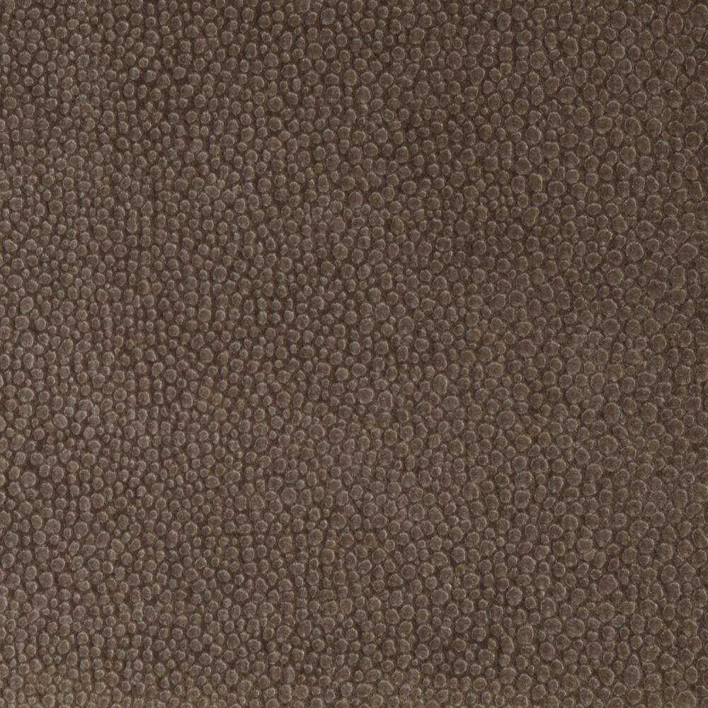 Métaphores Shagreen