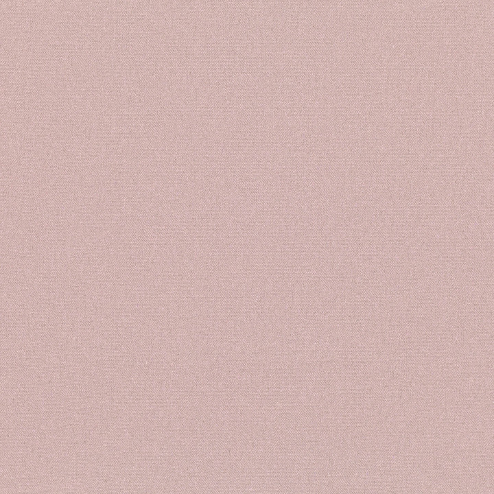 Briar Rose