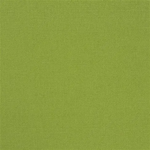 Grass