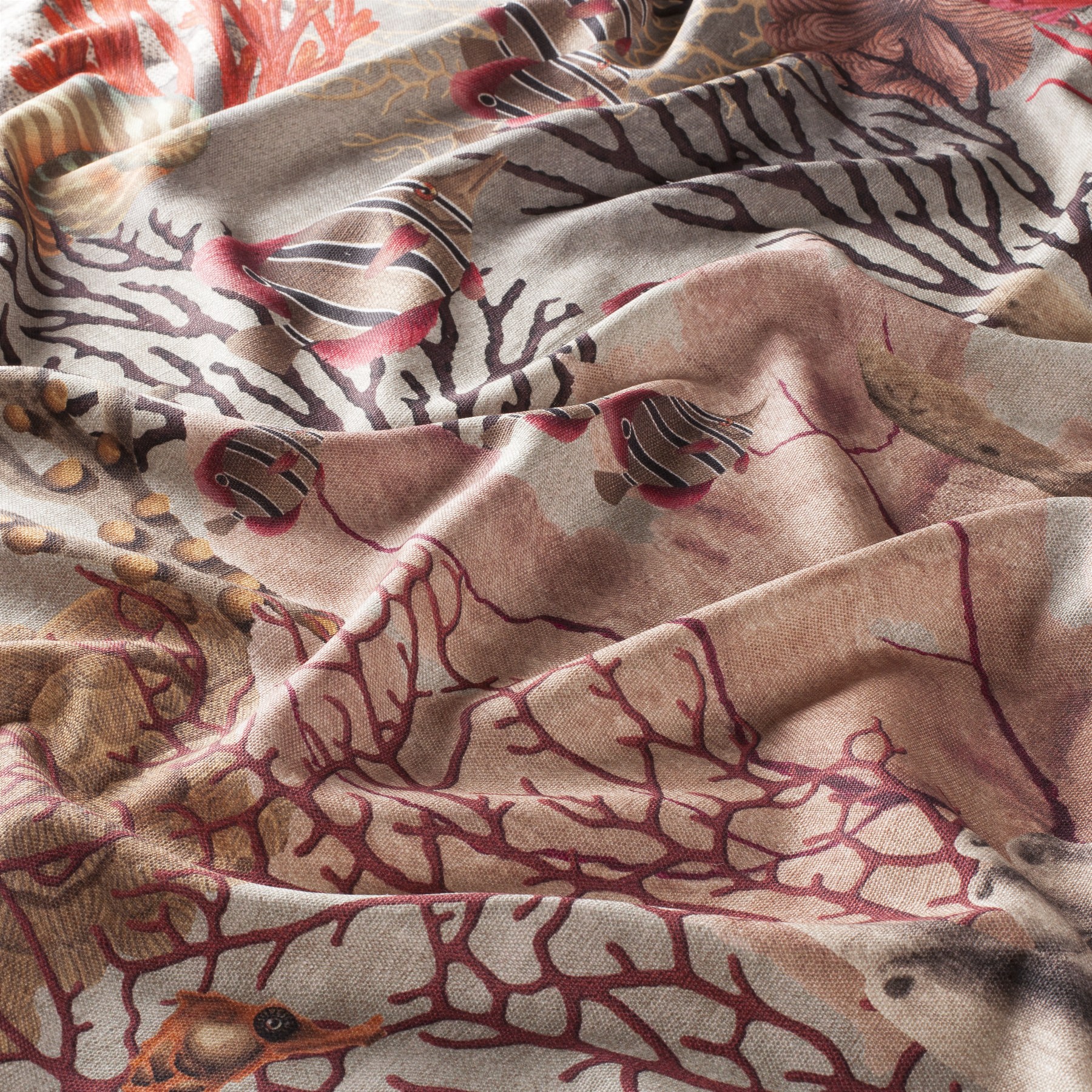 Chivasso Fabulous Reef