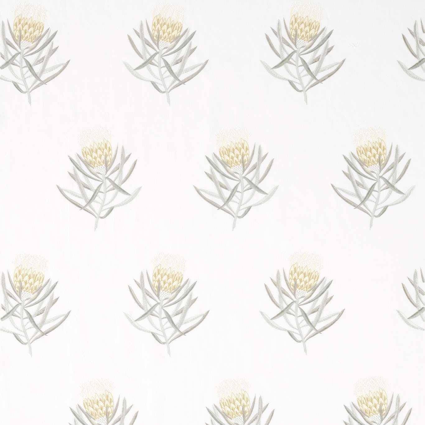 Sanderson Protea Flower