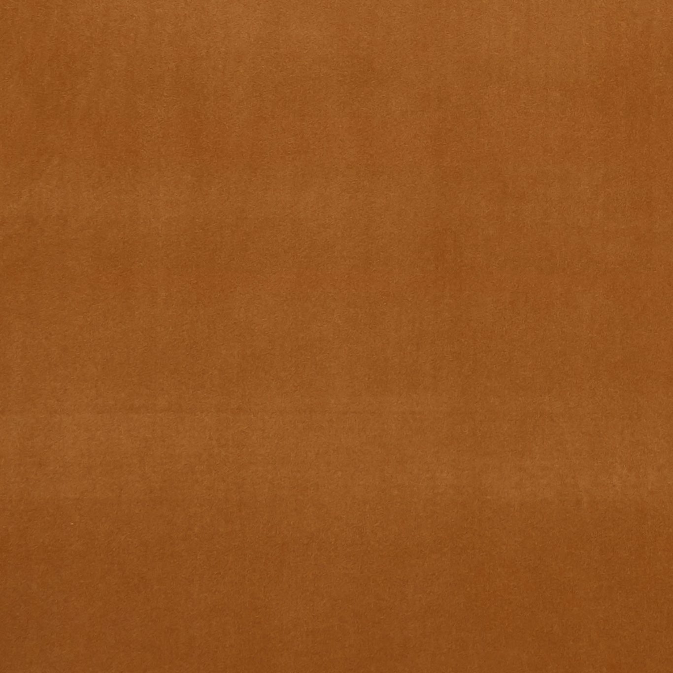 Nutmeg