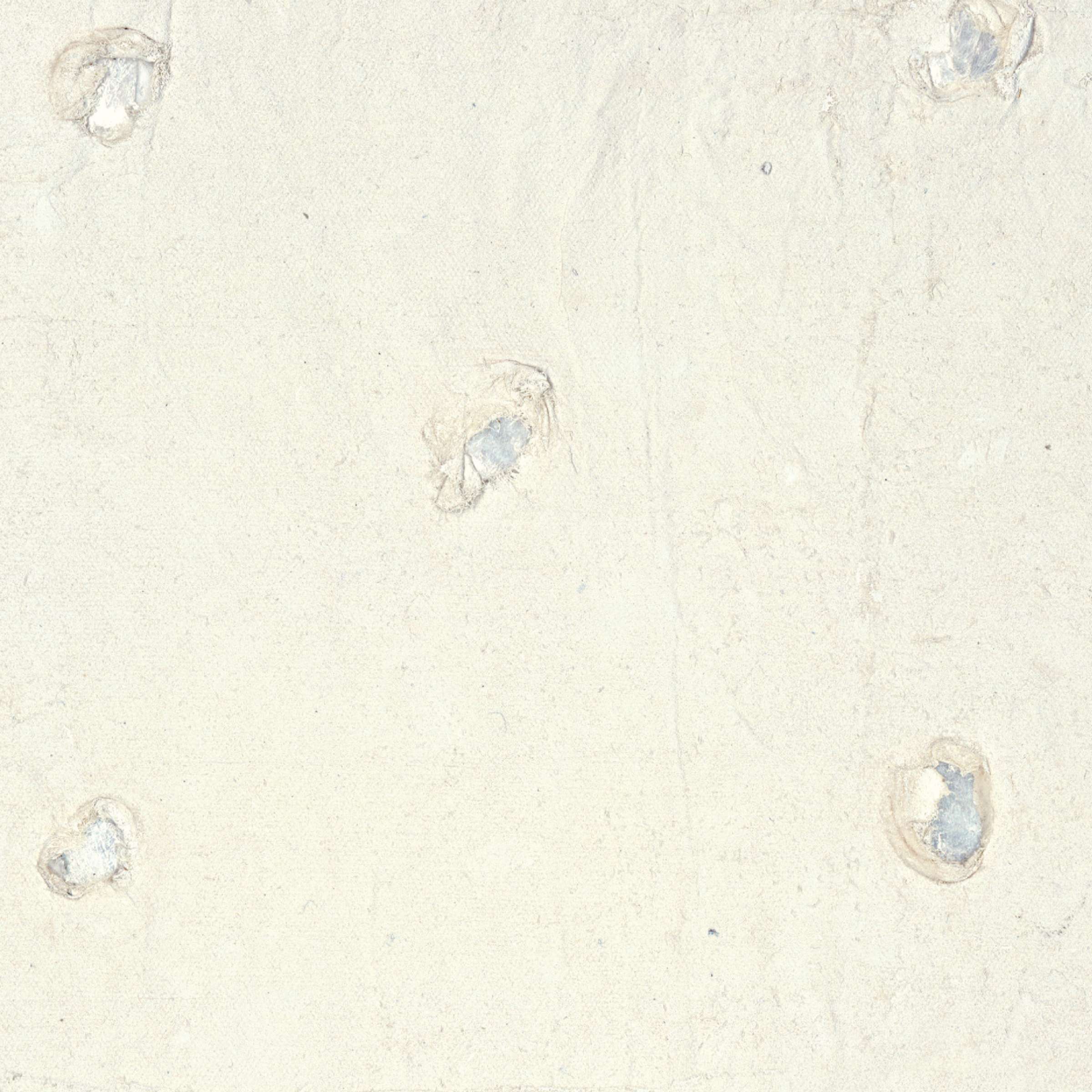 Un esprit contemplatif