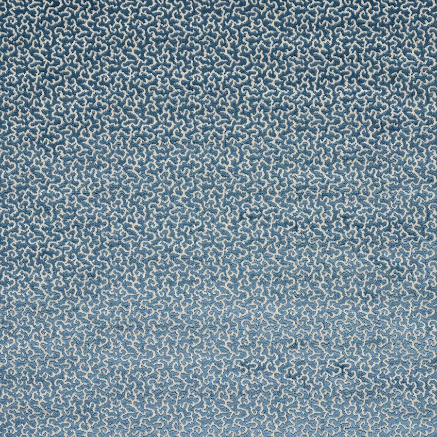 Manuel Canovas Drago