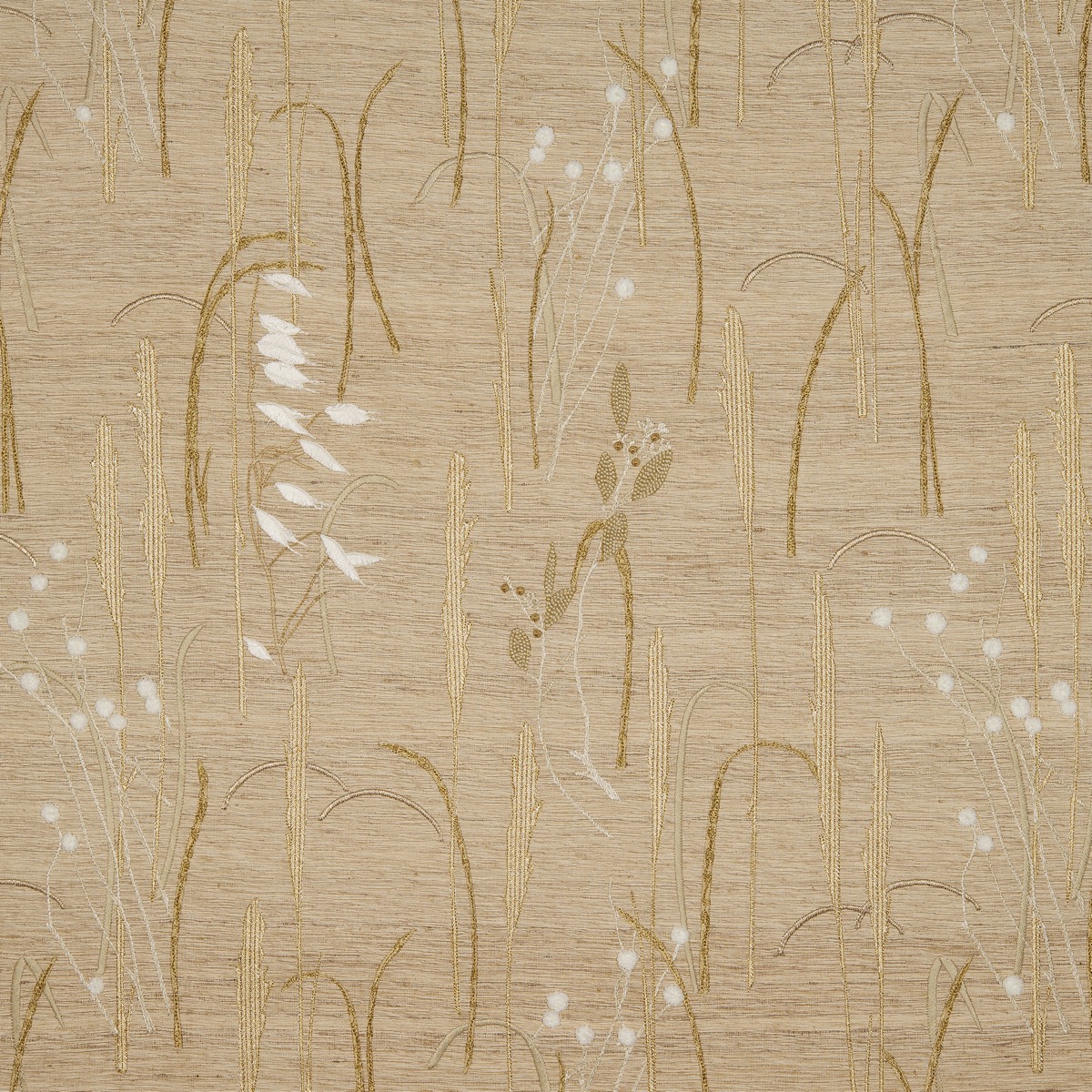 Nobilis Herbier