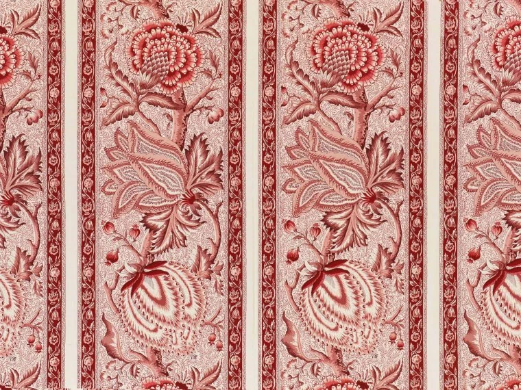 Braquenie Le grand corail camaieux - rayure