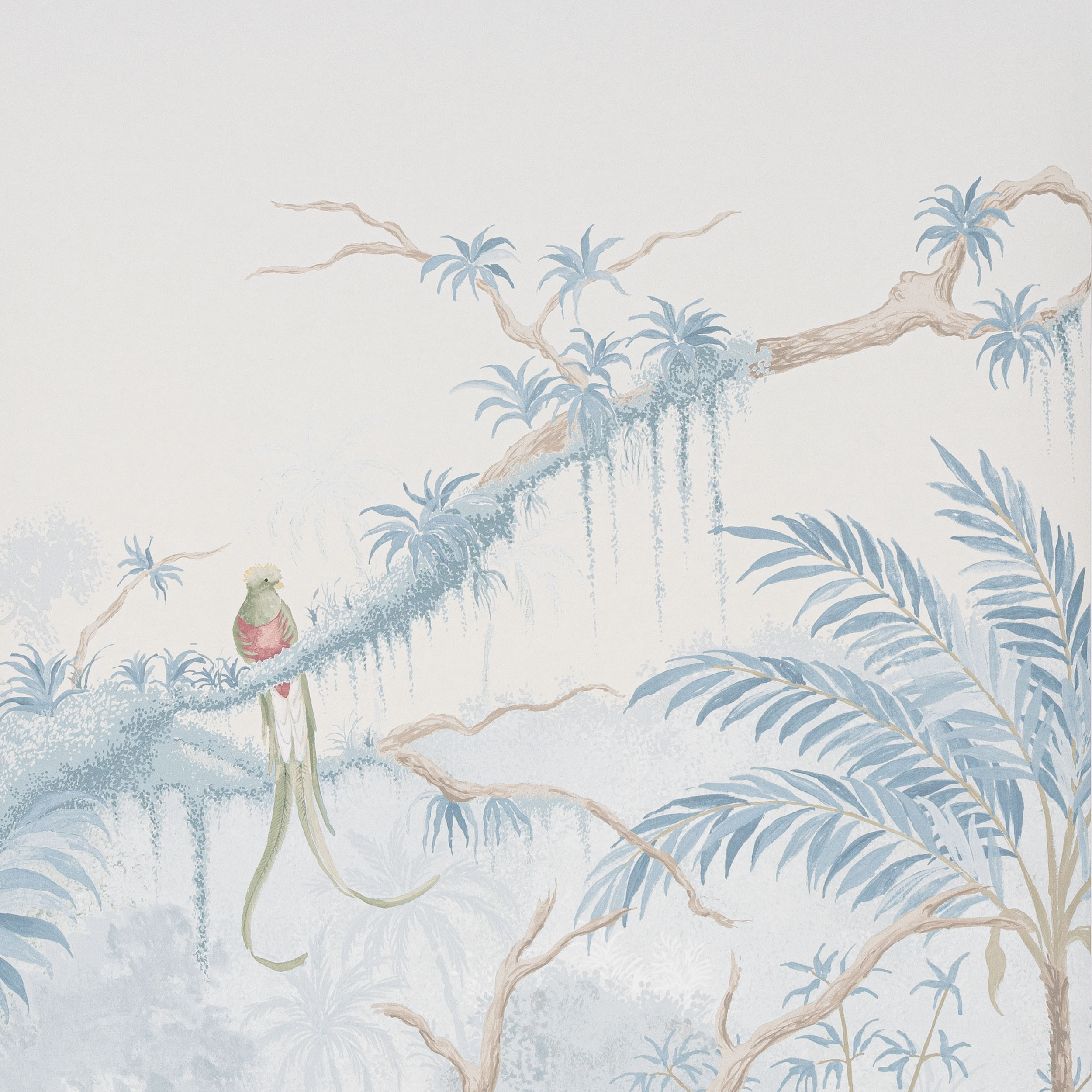 Manuel Canovas Borneo Manuel Canovas Borneo