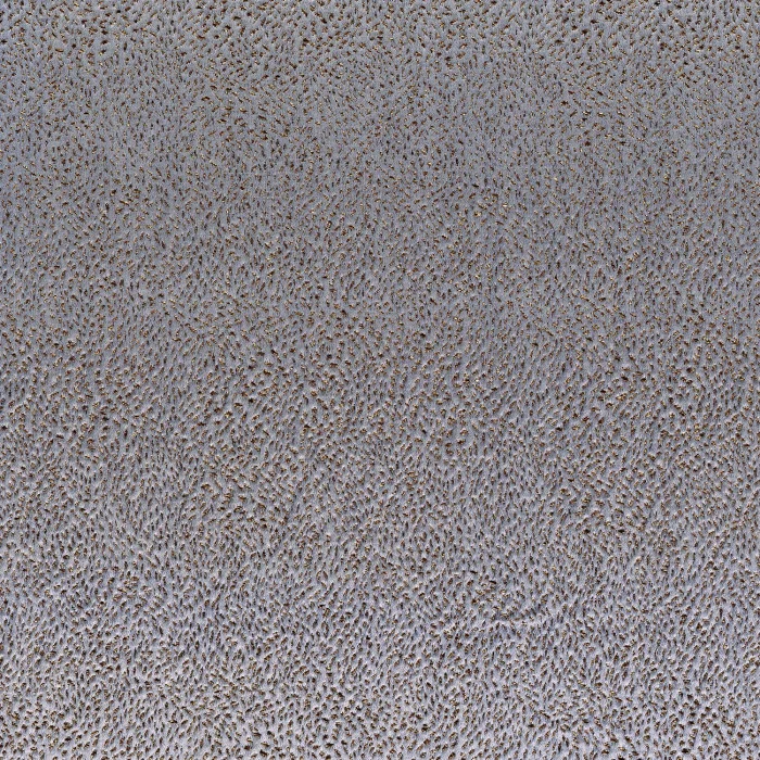 Gris Perle