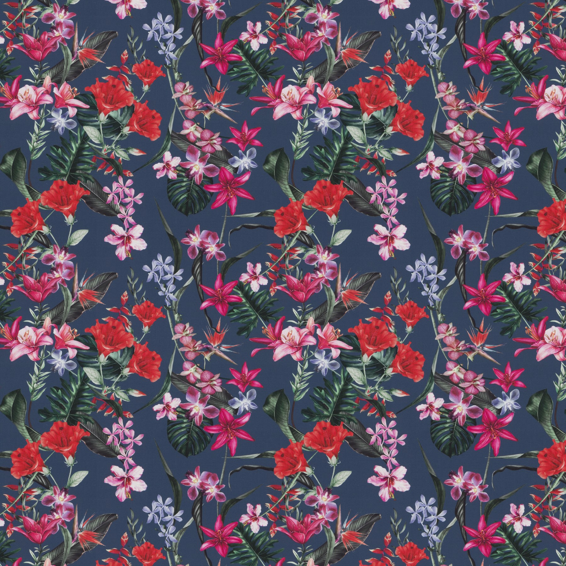 050