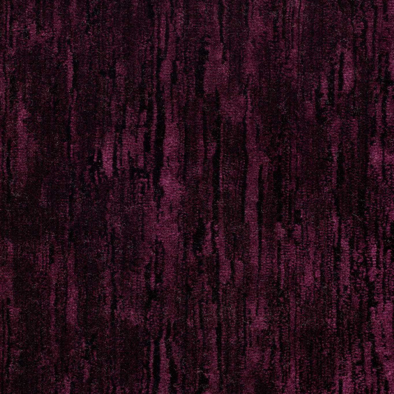 Blackcurrant