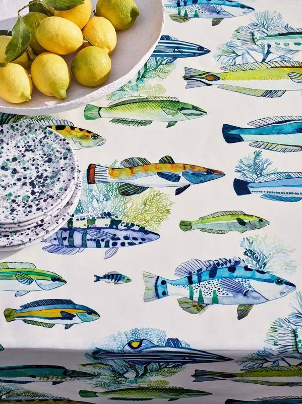 Manuel Canovas Fidji