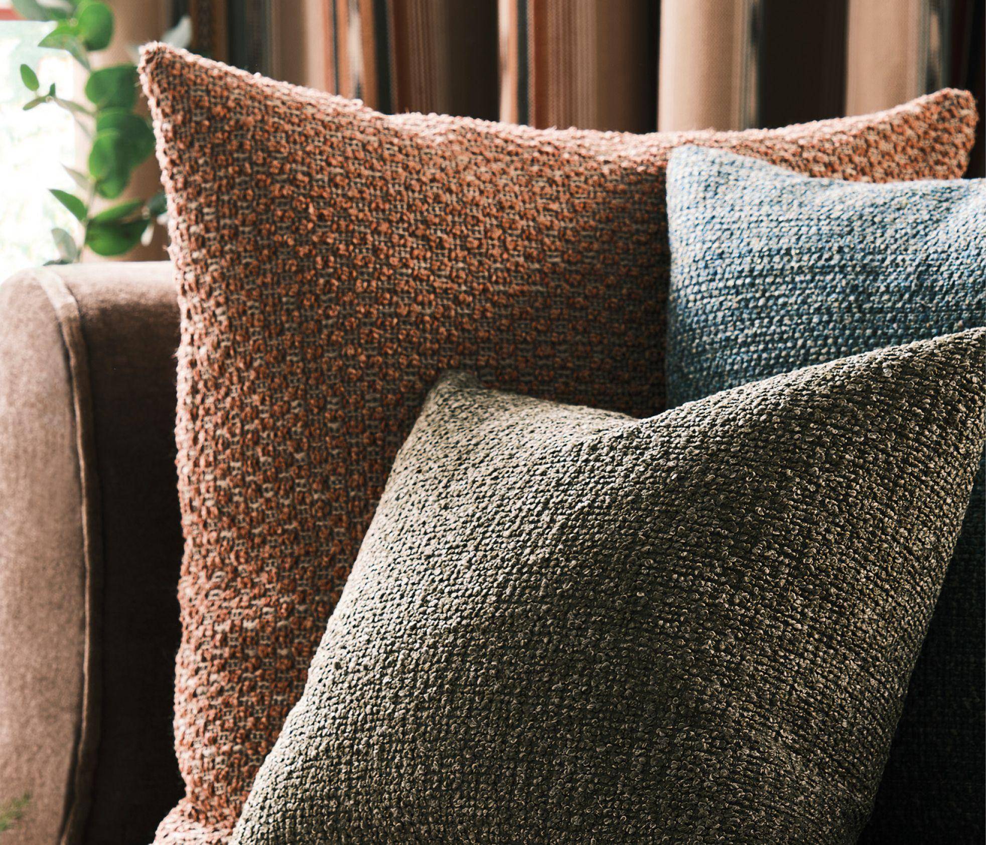 Osborne & Little Canna