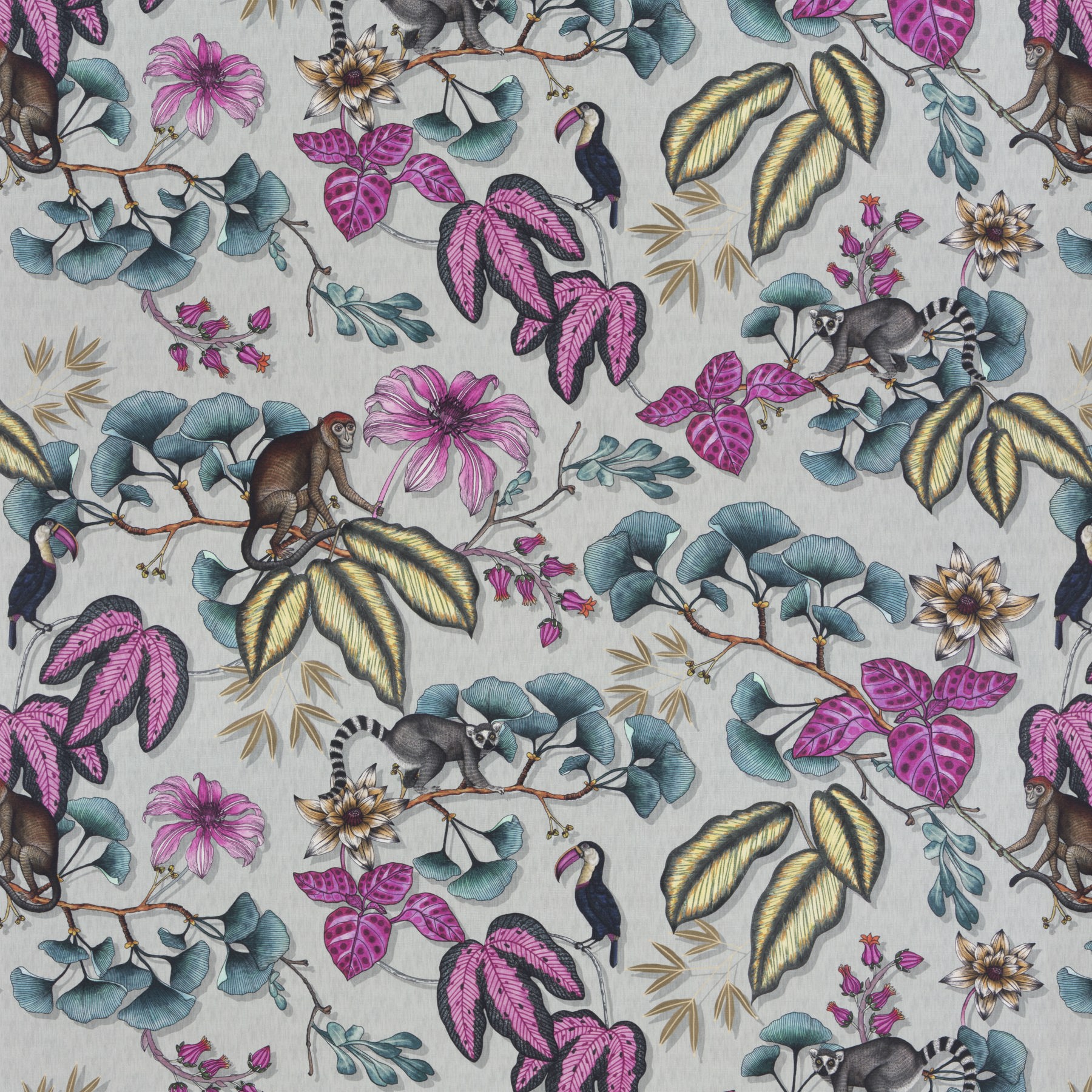 Chivasso Fantastic Madagascar